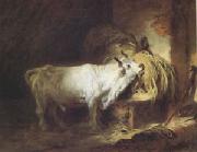 Jean Honore Fragonard The White Bull (mk05) oil painting